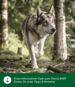 Dehner Wild Nature BARF-Ergänzungsfutter Für Hunde Flocken-Mix Pastinake-Kürbis -Gardena Store WE IG FlyergrafikDehnerWildNatureBarfFuetterung 2